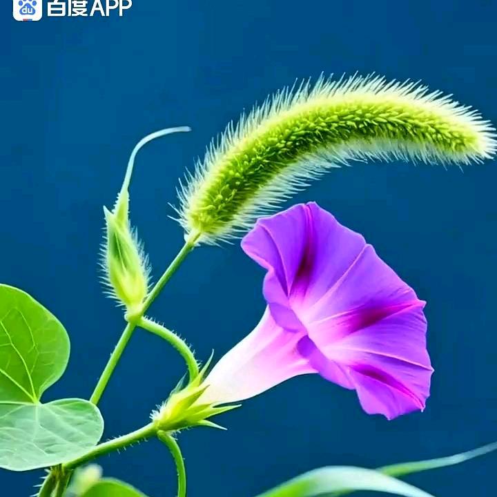 ᭄࿐ᩚ: 💕๓᭄悦己ঞ🍒