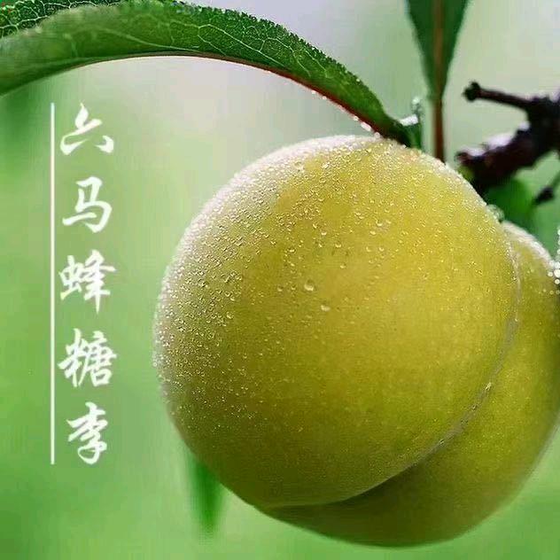 刘教授@