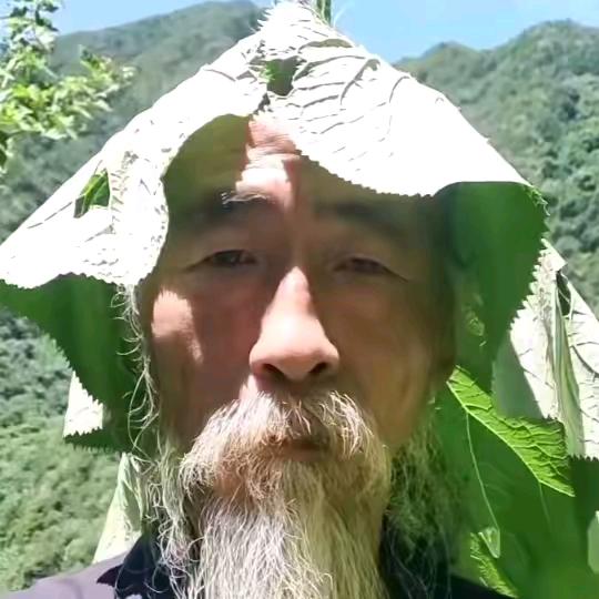 开心的蓝色乌龙茶