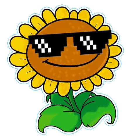 DJ阿葵（不会打碟版）@抖音