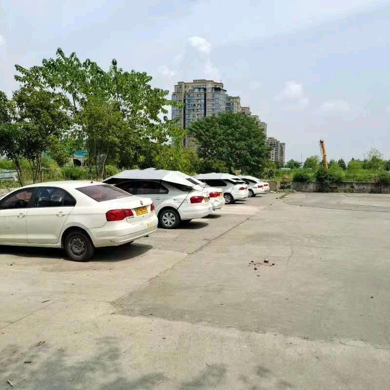 学车驾培教练