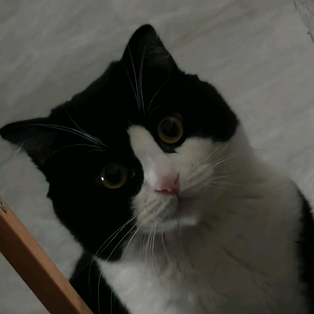 朗途英语—李老师