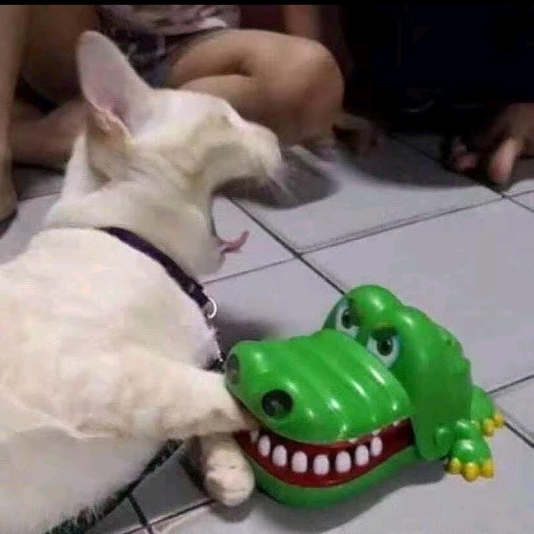 阿鑫说日常
