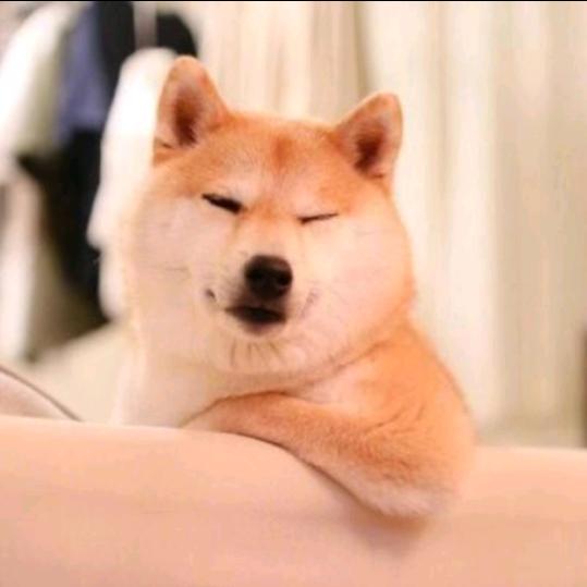 芝士