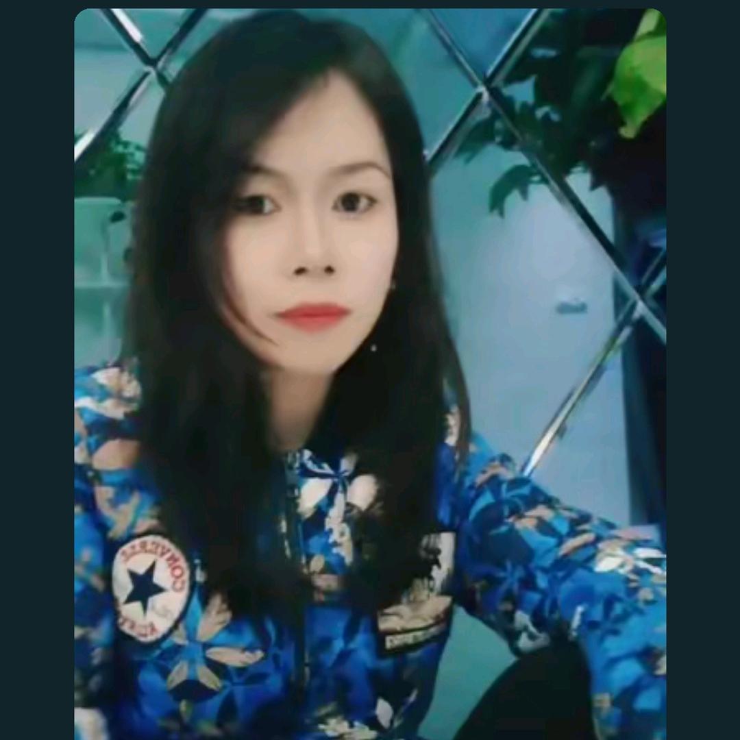 太阳花