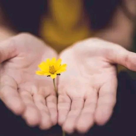 打工人的三餐四季