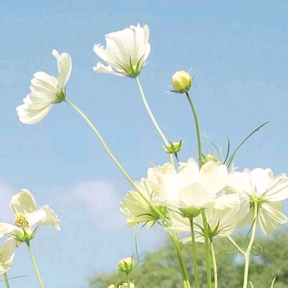泗洪电工电路