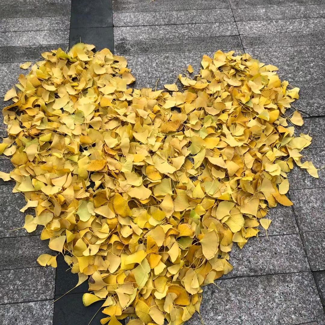 往事不能回味…