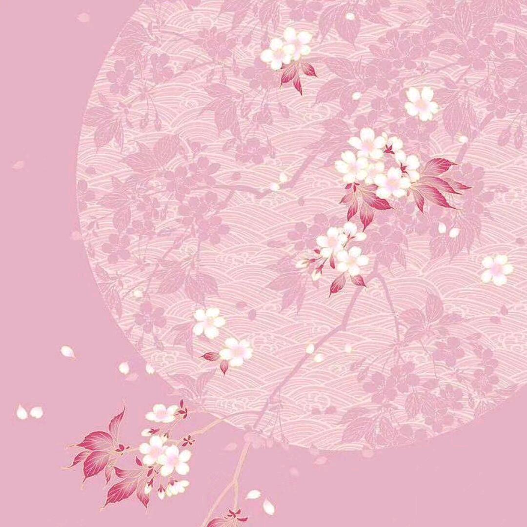 云妁1
