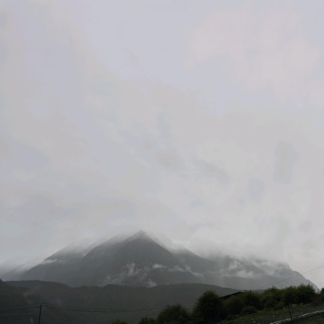 雨中郁