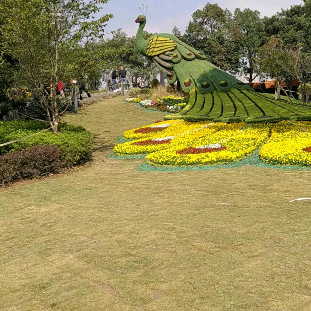 心意