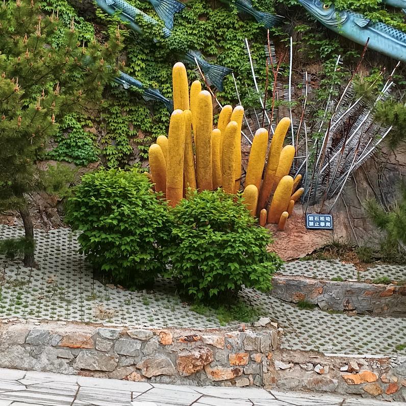 菊