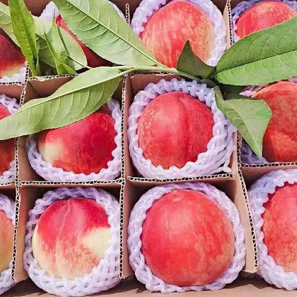 惠新优品生鲜小铺