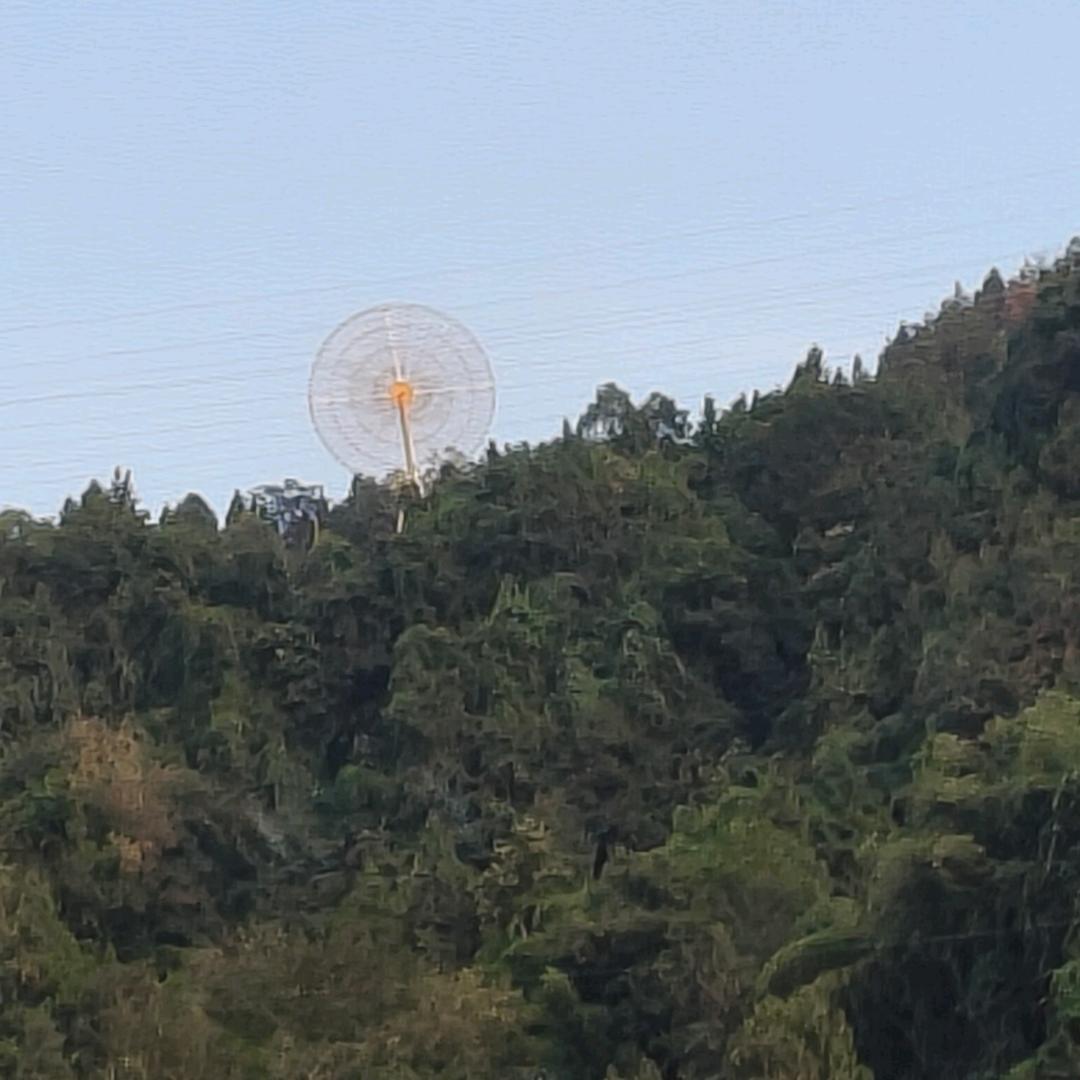 薄荷味的初夏19404