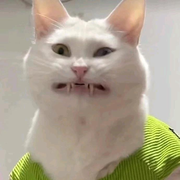 卿忆