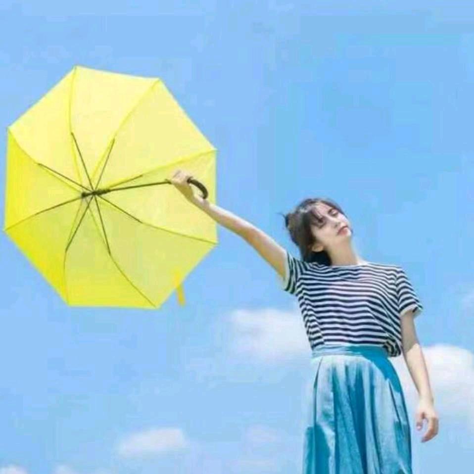小彭姐