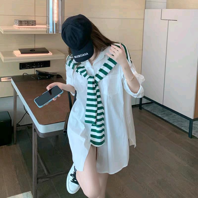 黄 十一
