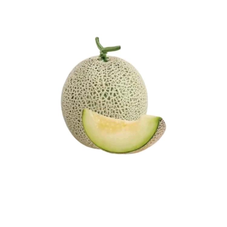 哈哈哈密瓜