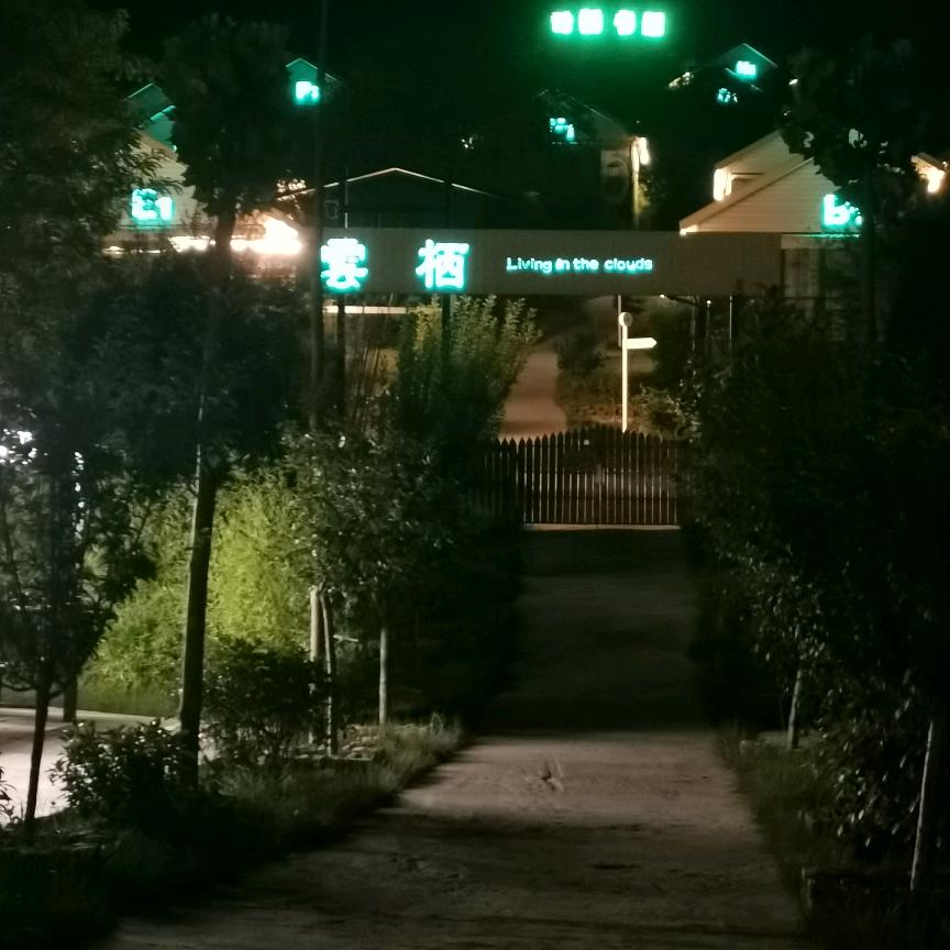 今生的唯一