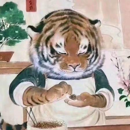 🔥🐯