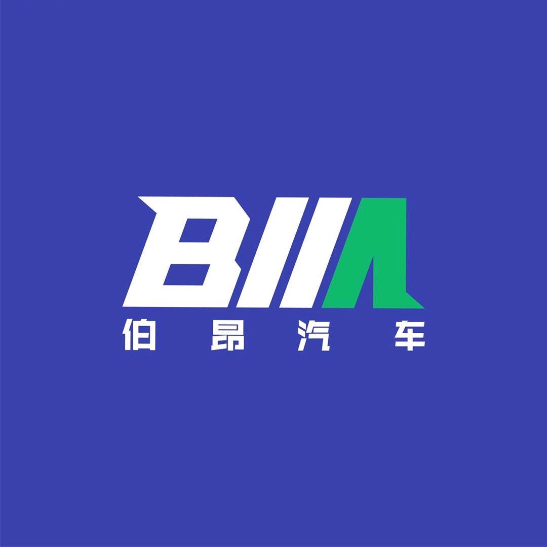 伯昂汽车(王雨)