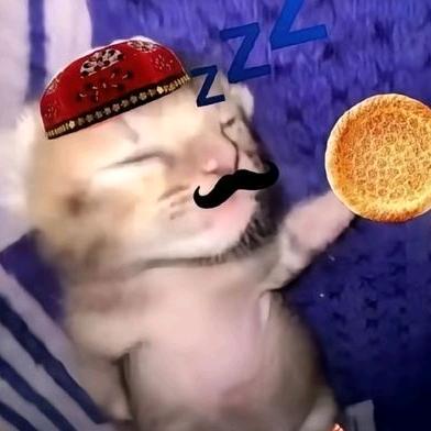 胖猫肥波夏诗