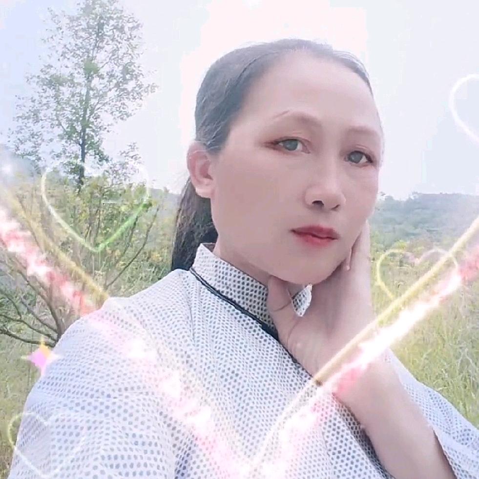 花开世界
