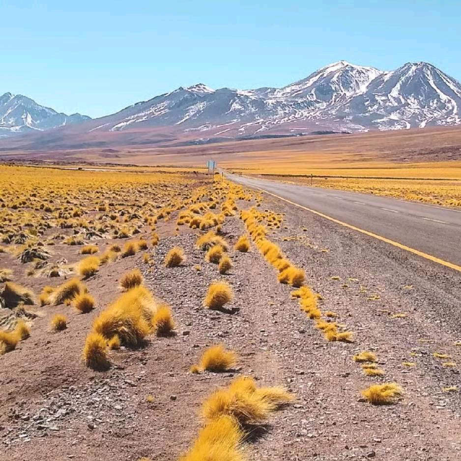 今朝有酒今朝醉