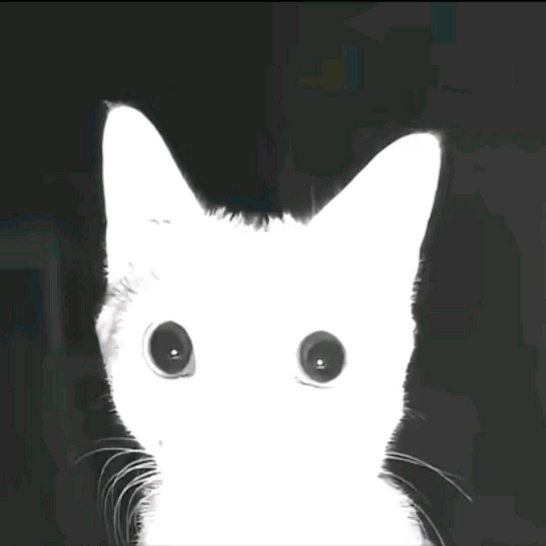 章北海.