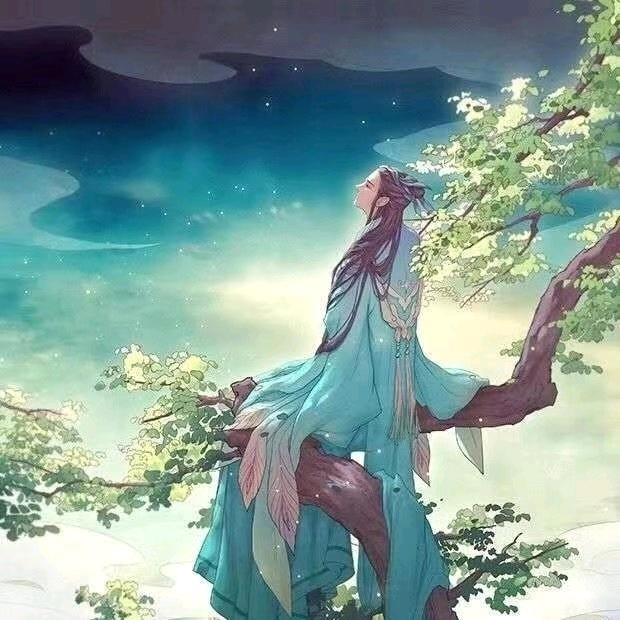 款款豚