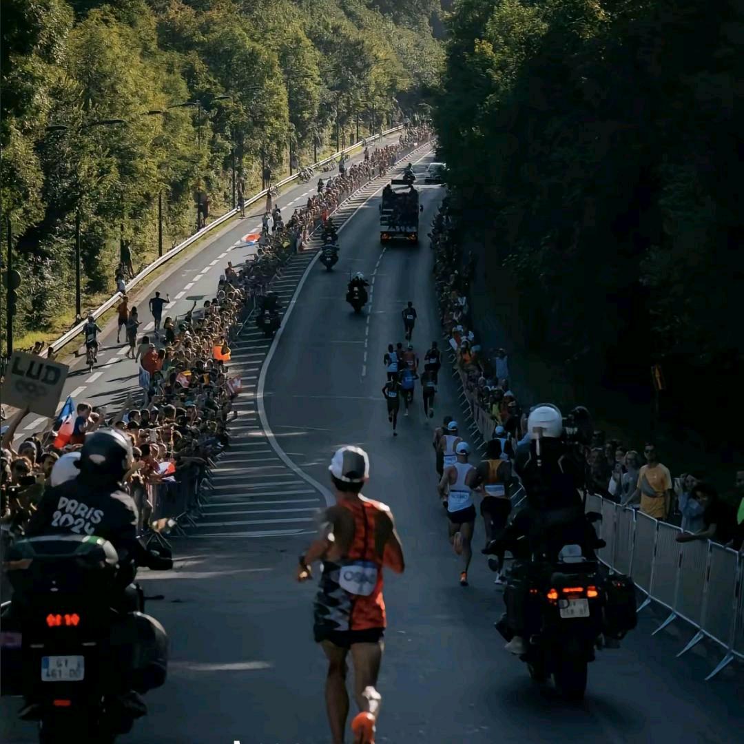 大迫杰 🪳 🕷 🪰 🐢