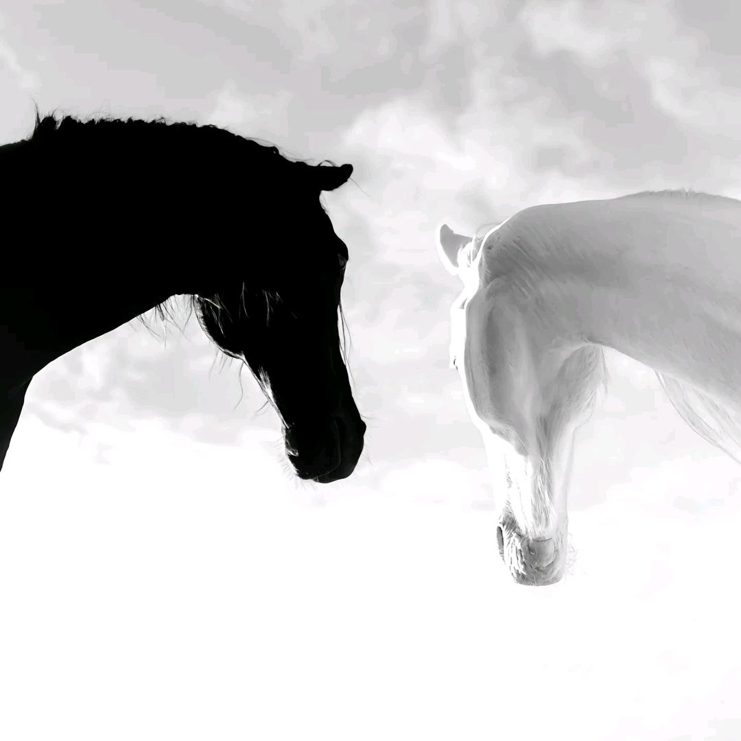 水