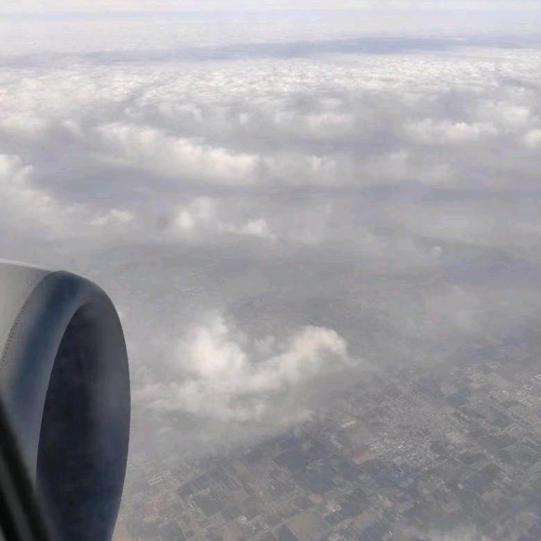 五一✔联盟（🐜）