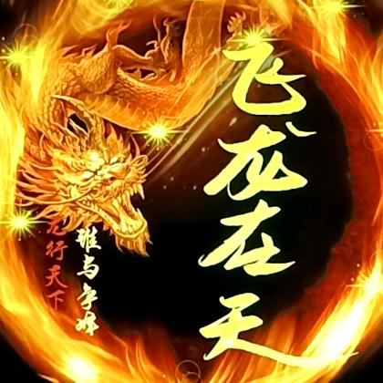 飞龙在天！