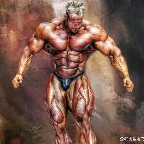 卡特