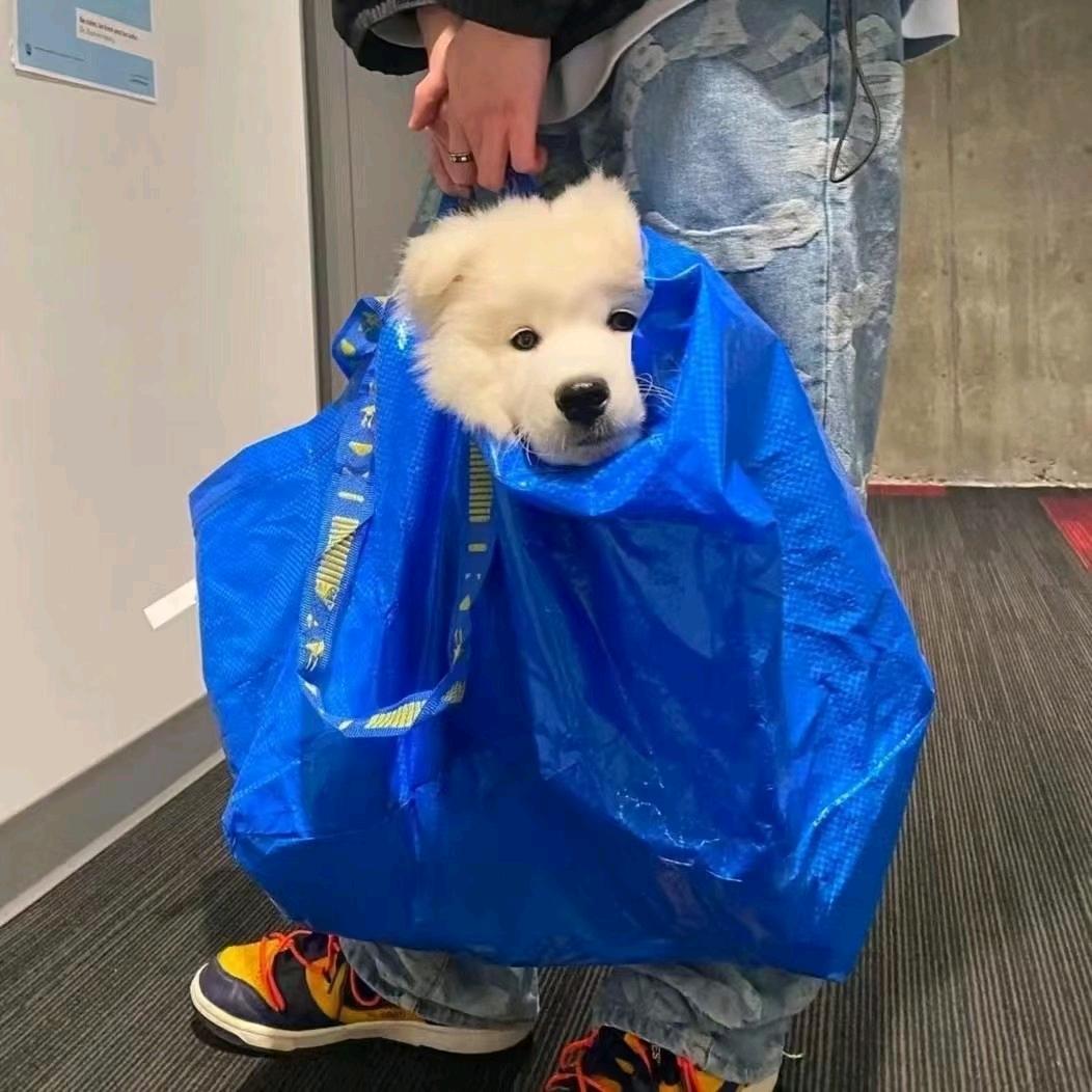 如同悲伤被下载了两次