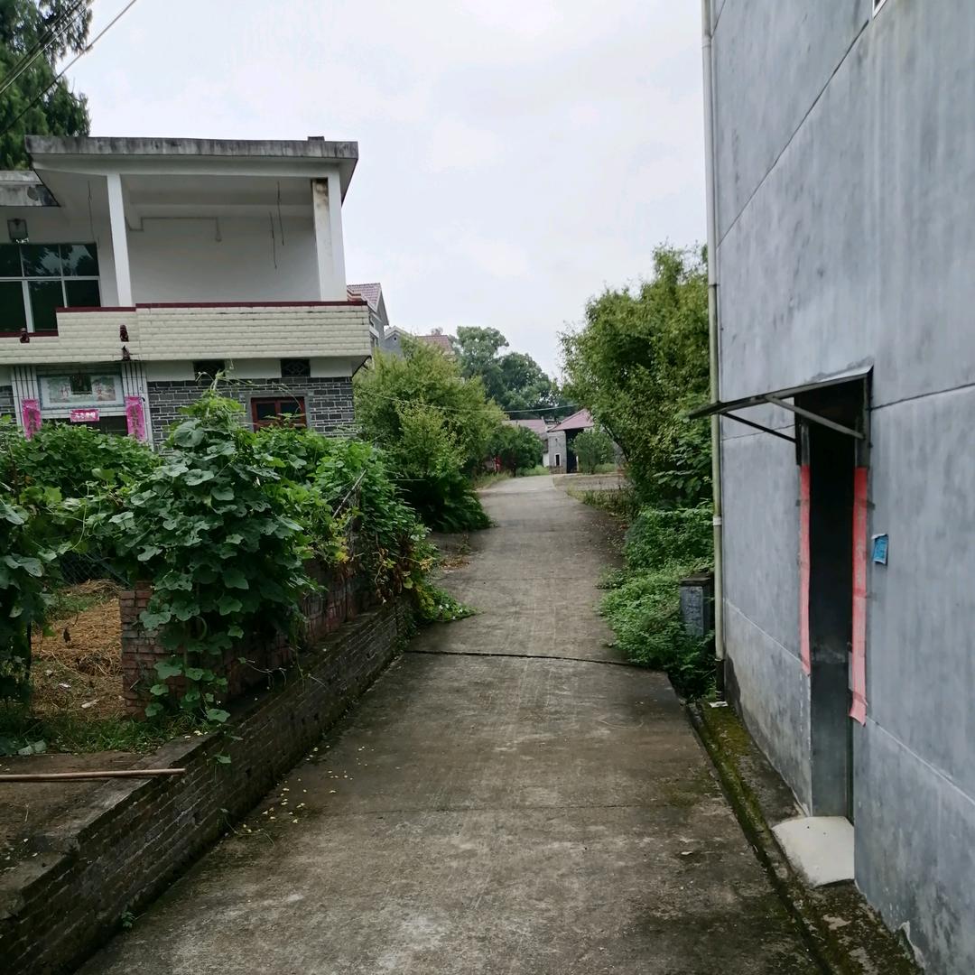 华移