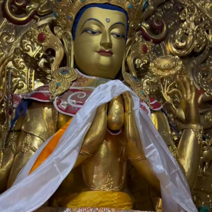 尼卓