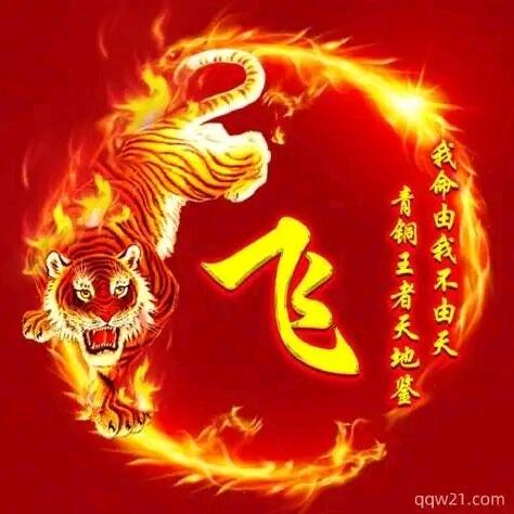 郑志飞