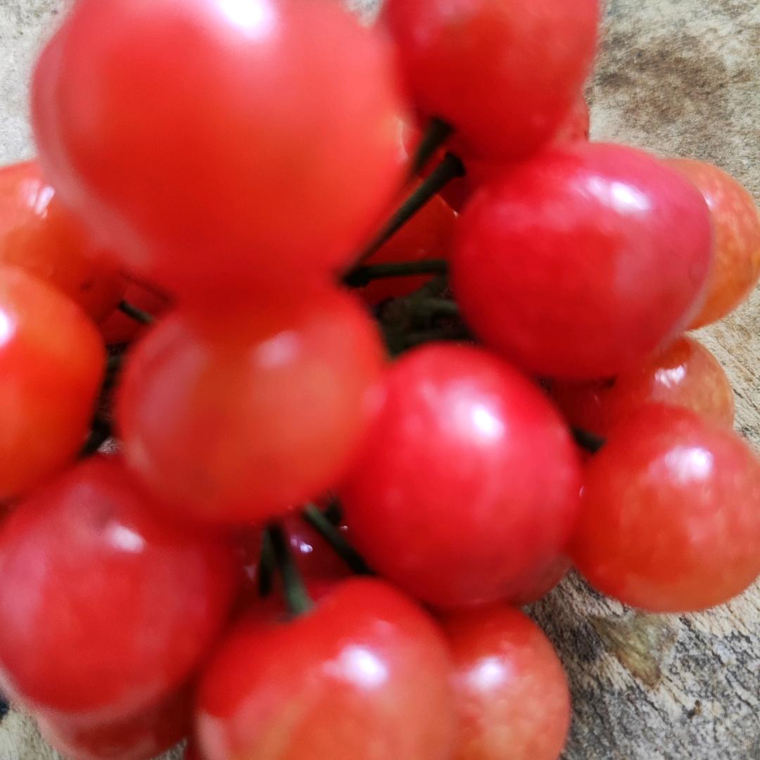 心🍑随🌹梦🌺飞