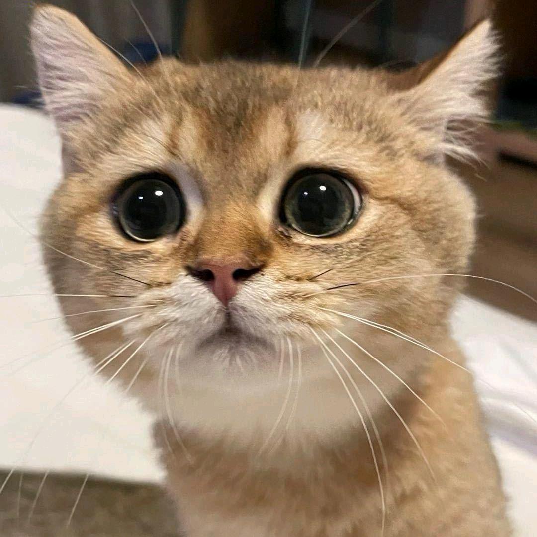 叄月..
