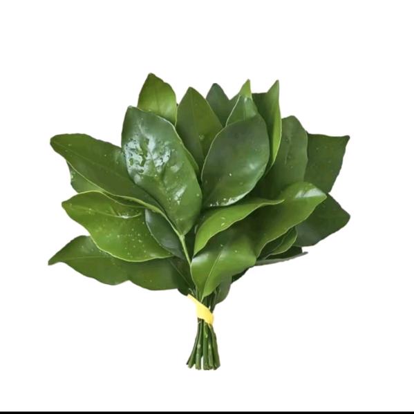 贵州二妹（承蒙厚爱）