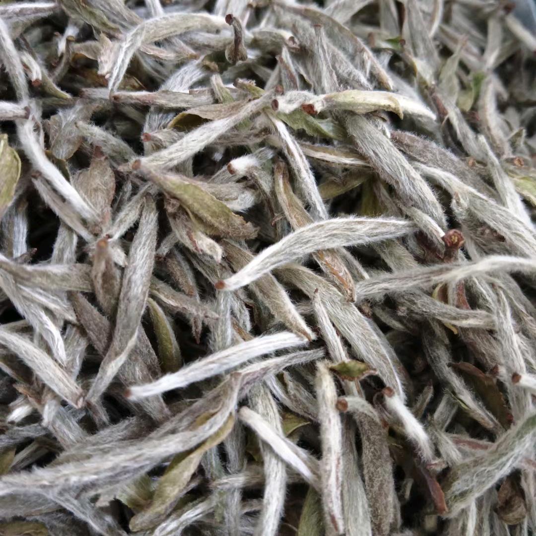 茶徒