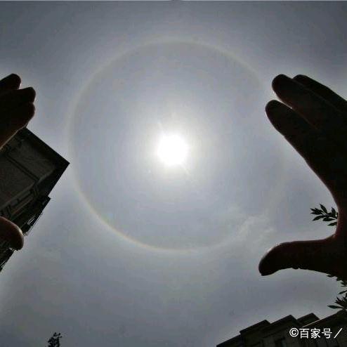 他被蚂蚁踢成脑震荡