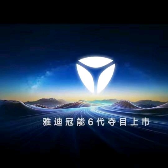 雅迪电动车冠能品牌