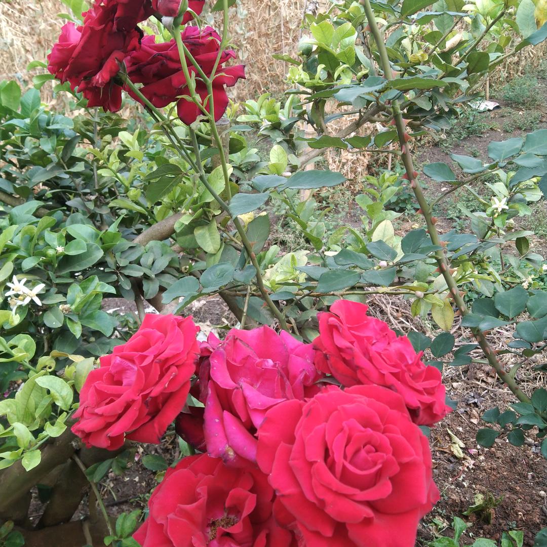 为你伤心为你哭💔💔💔💔