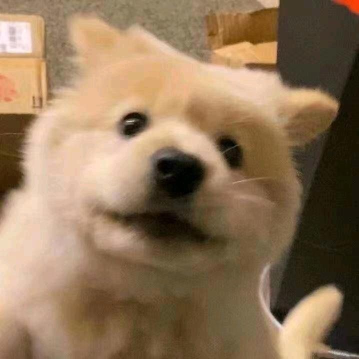 爆炒大肠头（大坝散步）