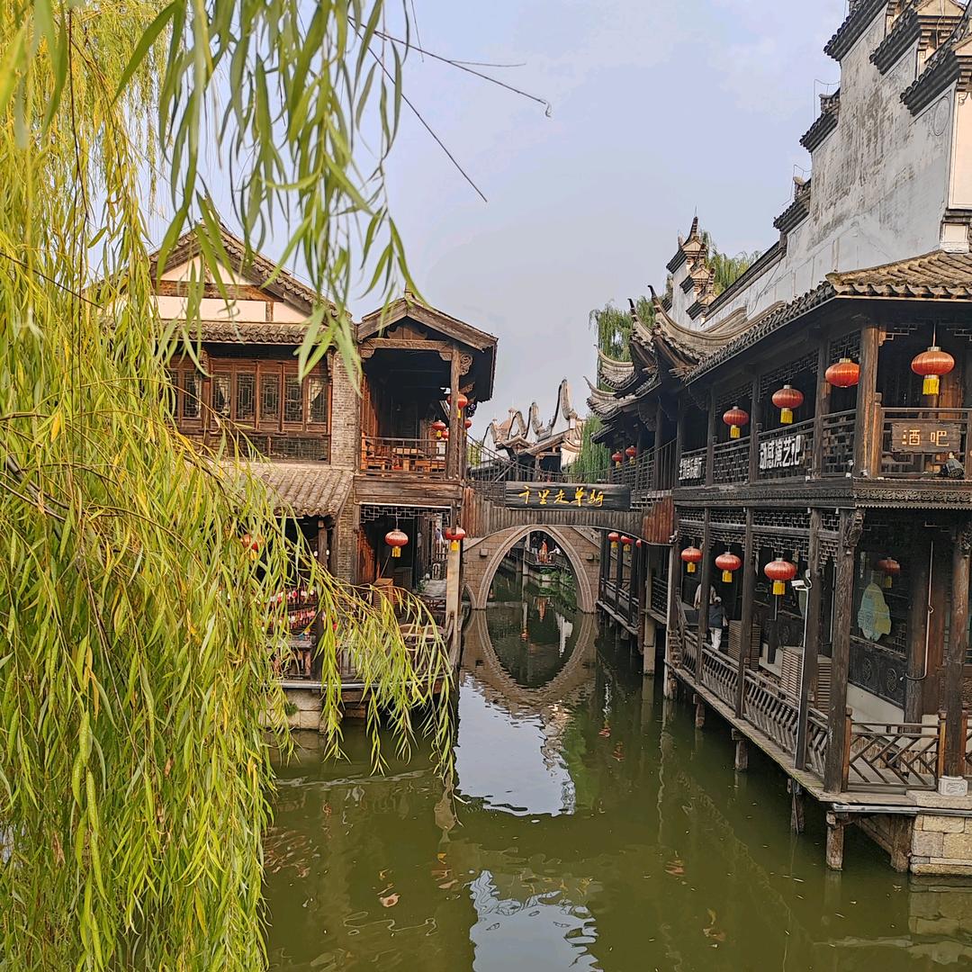 小戚姐姐居家好物