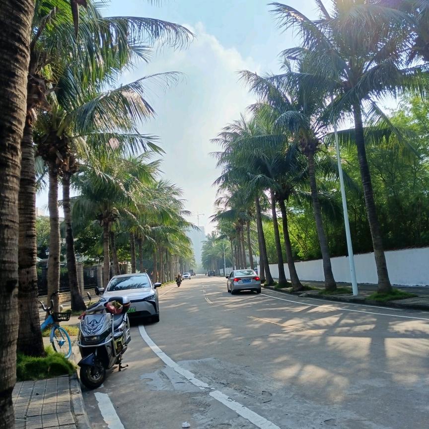 蓝道魔术俱乐部