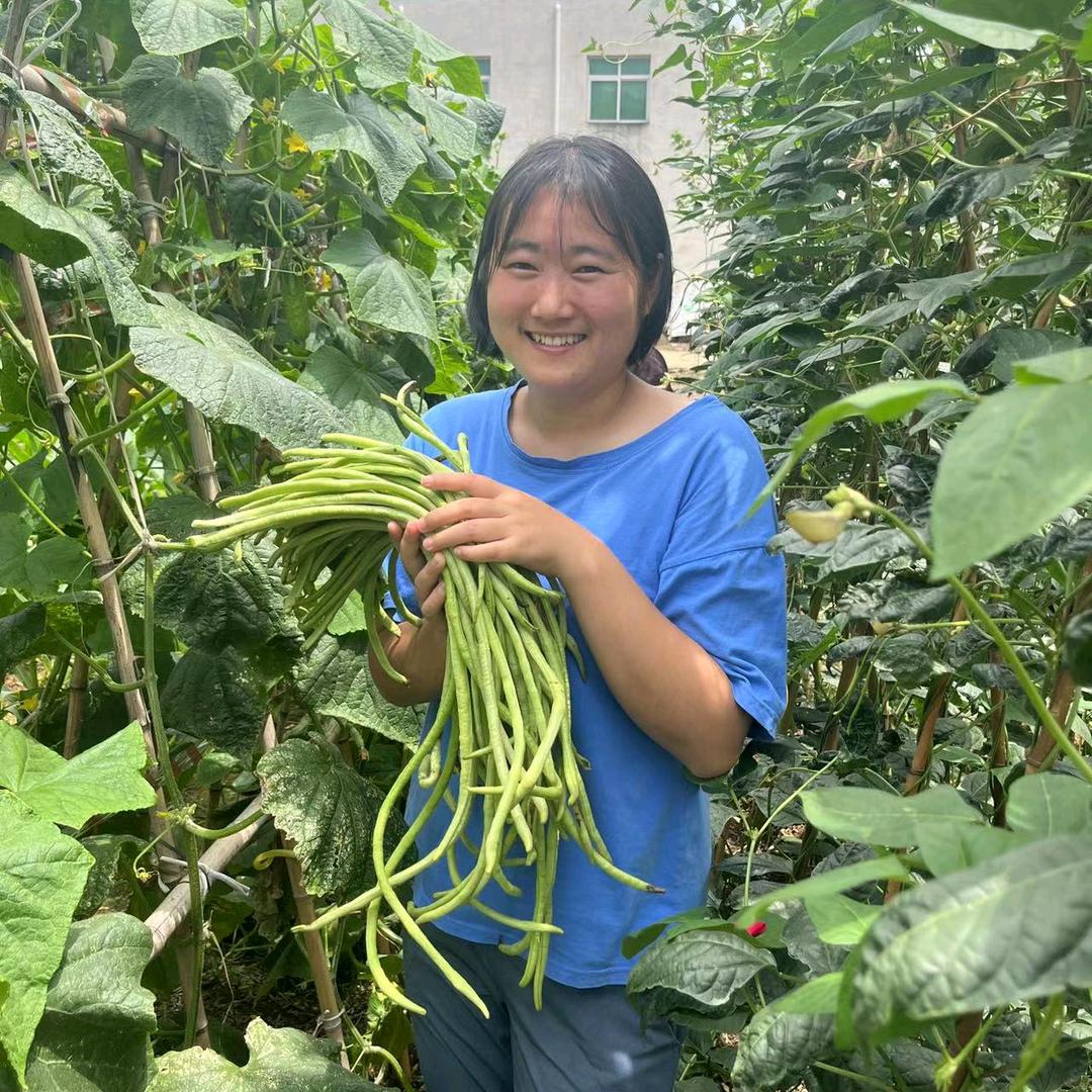 种菜的阿吉